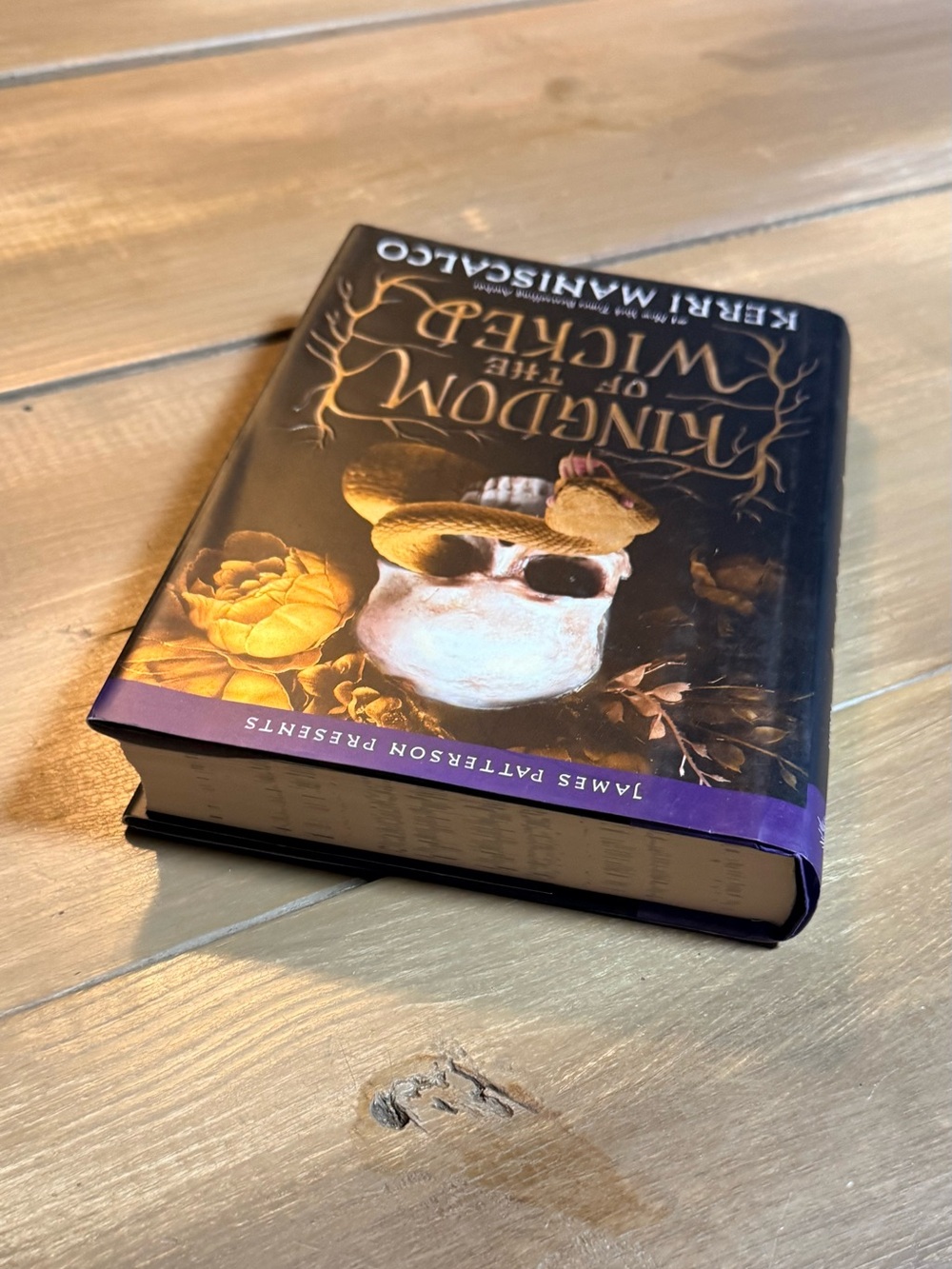 Kingdom of the Wicked Kerri Maniscalco Fantasy Romance Witch Gothic Novel - Picture 4 of 8